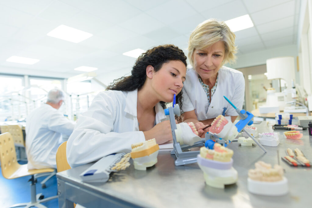 Erfahrene Zahntechnikerin leitet eine Kollegin bei der Arbeit an Gebissmodellen im Dentallabor an – Schalow Dentaltechnik setzt auf Teamarbeit und Fachwissen für präzise klassische Restaurationen und komplexe Implantatversorgungen für Zahnarztpraxen.